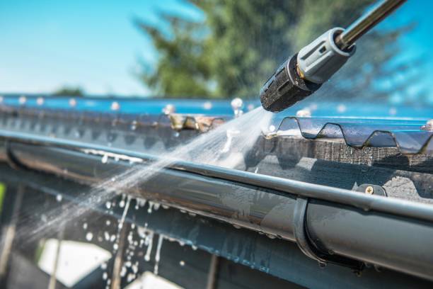 Best Roof Pressure Washing  in Lamont, MI