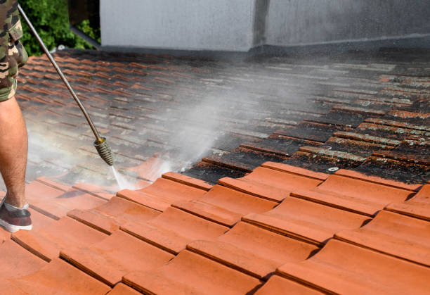 Best Exterior Home Cleaning  in Lamont, MI
