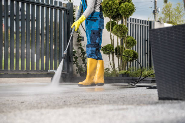 Best Local Pressure Washing Services  in Lamont, MI