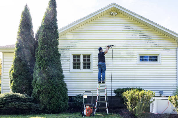 Best Best Pressure Washing Companies  in Lamont, MI