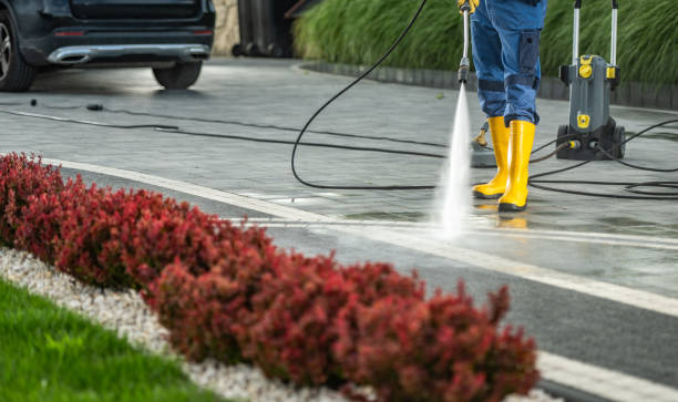 Best Sidewalk Pressure Washing  in Lamont, MI