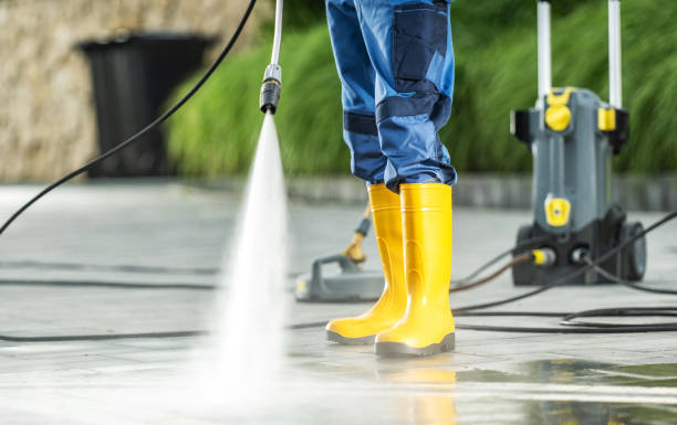 Best Deck Cleaning Services  in Lamont, MI