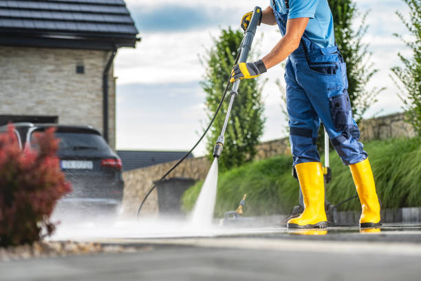 Best Roof Power Washing Services  in Lamont, MI