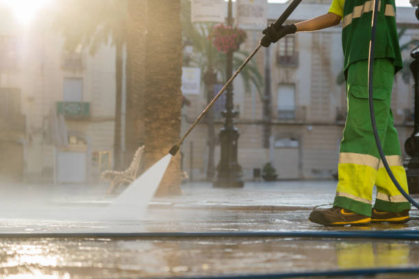 Best Local Pressure Washing Services  in Lamont, MI