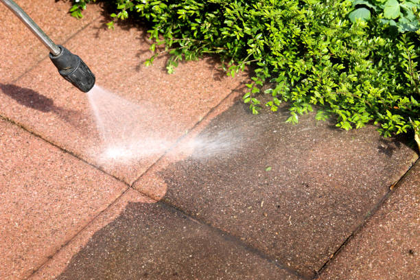 Local Pressure Washing Services in Lamont, MI